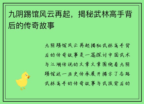 九阴踢馆风云再起，揭秘武林高手背后的传奇故事